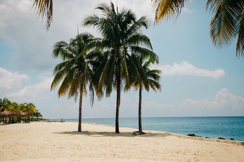 fort lauderdale moving company