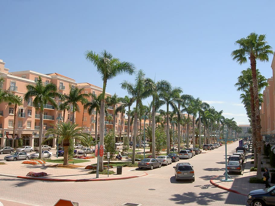 move to boca raton